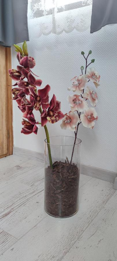 Natura Panzio Szilvásvárad 외부 사진